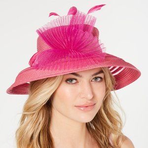 August Hat Sheer Accent Wide Brim O/S New